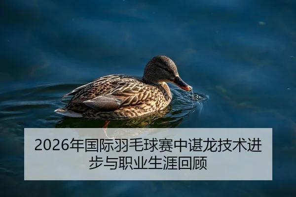 2026年国际羽毛球赛中谌龙技术进步与职业生涯回顾