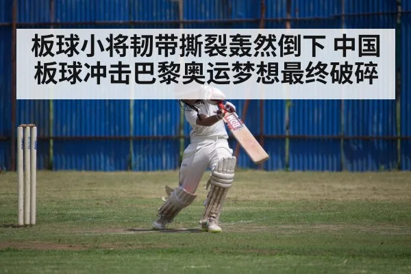 板球小将韧带撕裂轰然倒下 中国板球冲击巴黎奥运梦想最终破碎